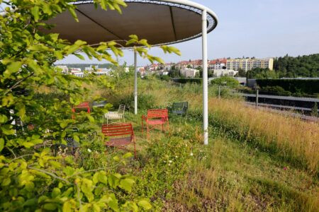 08_SHQ ČSOB_TERRA FLORIDA_Moravcova_2023