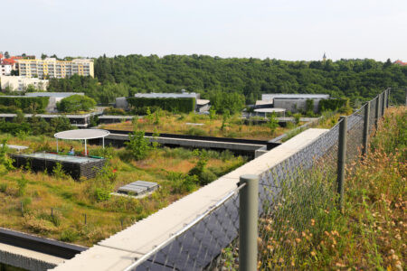 13_SHQ ČSOB_TERRA FLORIDA_Moravcova_2023